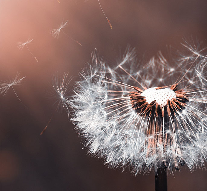 2 geestelijke verzorging voor meer betekenis, vinden van meer zin, samen zoeken naar antwoorden op jouw levensvragen, gelukkiger en voller in het leven staan 2 geestelijke verzorging voor meer betekenis, vinden van meer zin, samen zoeken naar antwoorden op jouw levensvragen, gelukkiger en voller in het leven staan